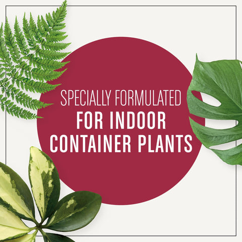Miracle-Gro Houseplant Potting Mix 8-inch container; ready for potting in standard planters.