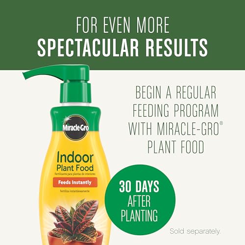 Three-pack bundle of Miracle-Gro potting mix for containers