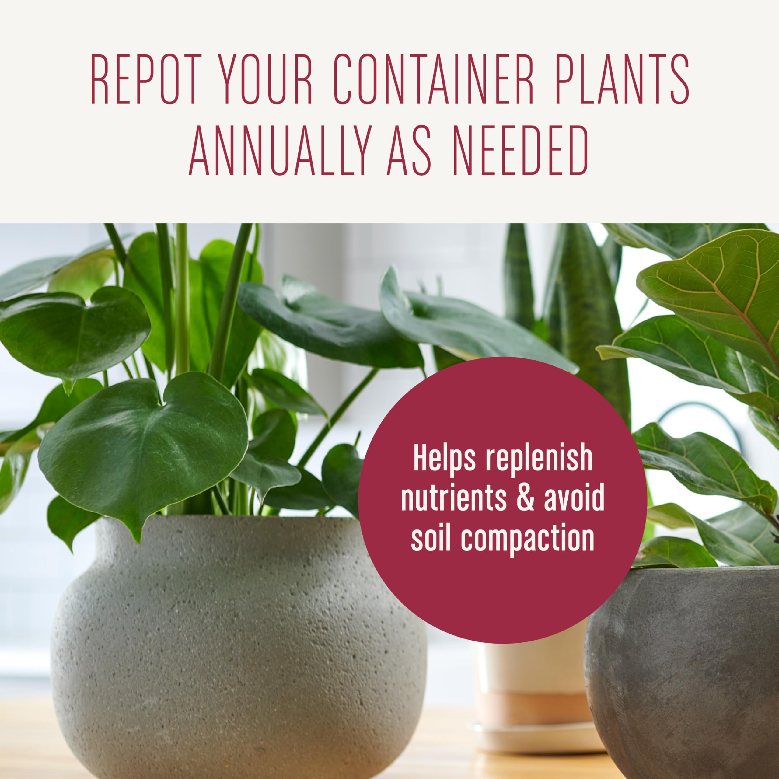 Miracle-Gro potting mix reduces fungus gnats in indoor pots