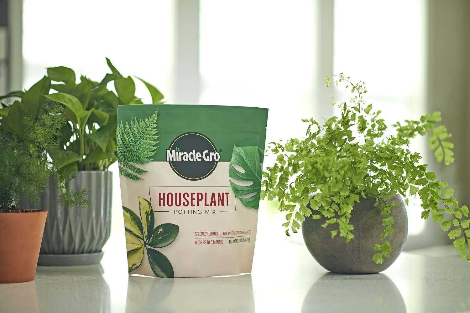 Miracle-Gro soil appears gnats-resistant, designed for indoor plant care