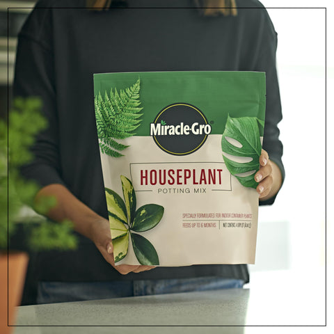 Miracle-Gro Houseplant Potting Mix in an 8-inch container supports healthy indoor plants