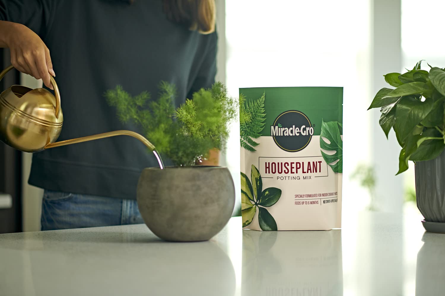 Rich soil texture supports healthy root growth in indoor environments