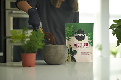 Two bags in the Miracle-Gro Houseplant Potting Mix bundle ready for potting