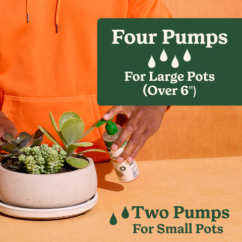 Miracle-Gro indoor care setup helps potting and feeding cacti