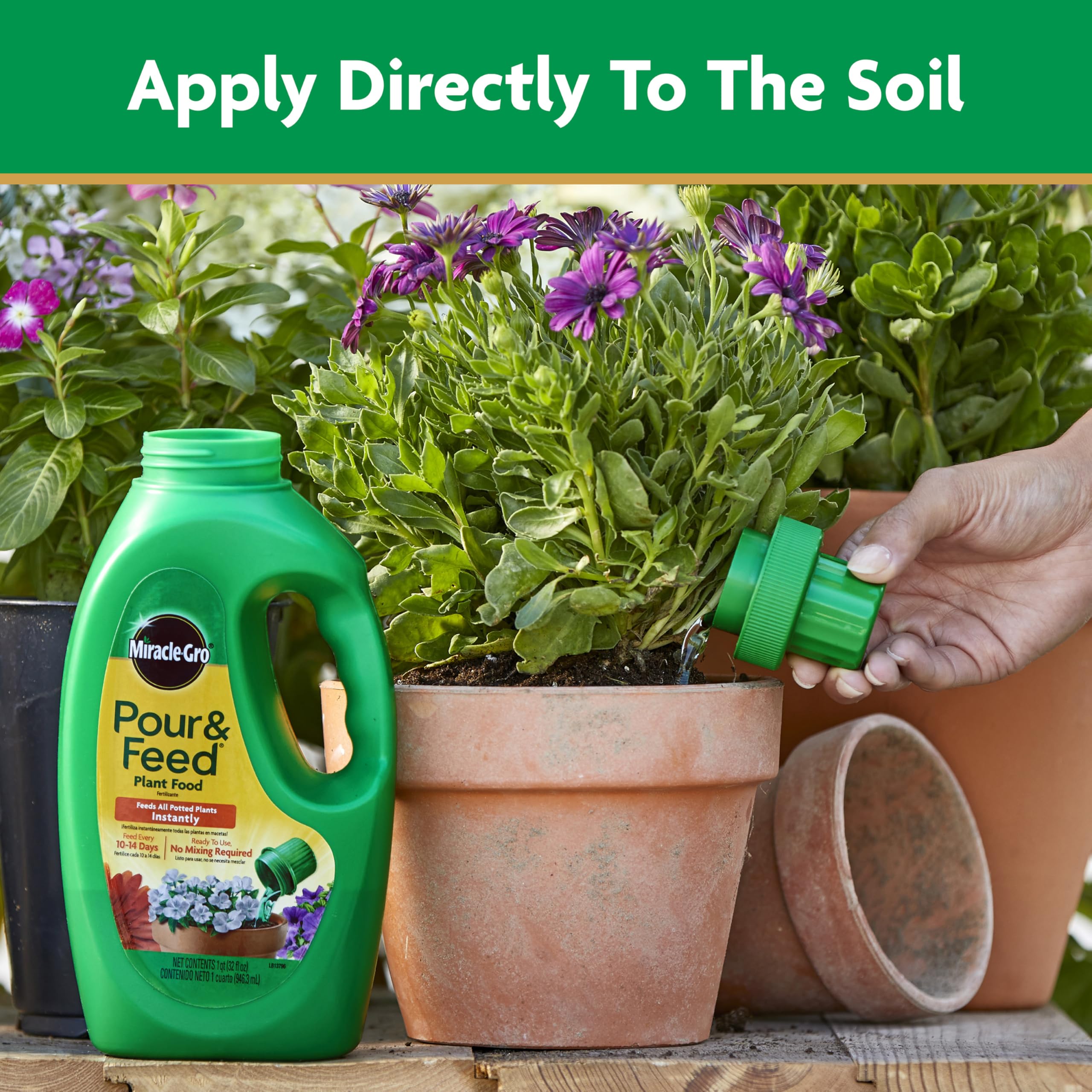 Outdoor container plants nourished by Miracle-Gro Pour & Feed.