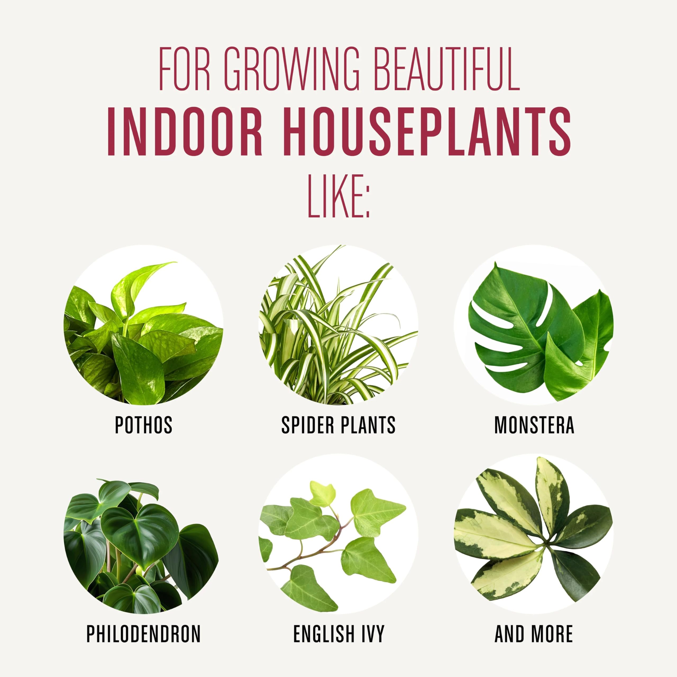 Miracle-Gro Indoor Plant Food 30 days; complements potting mix for ongoing growth.