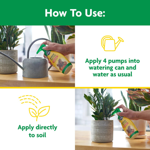Miracle-Gro Indoor Plant Food application poured directly onto soil.