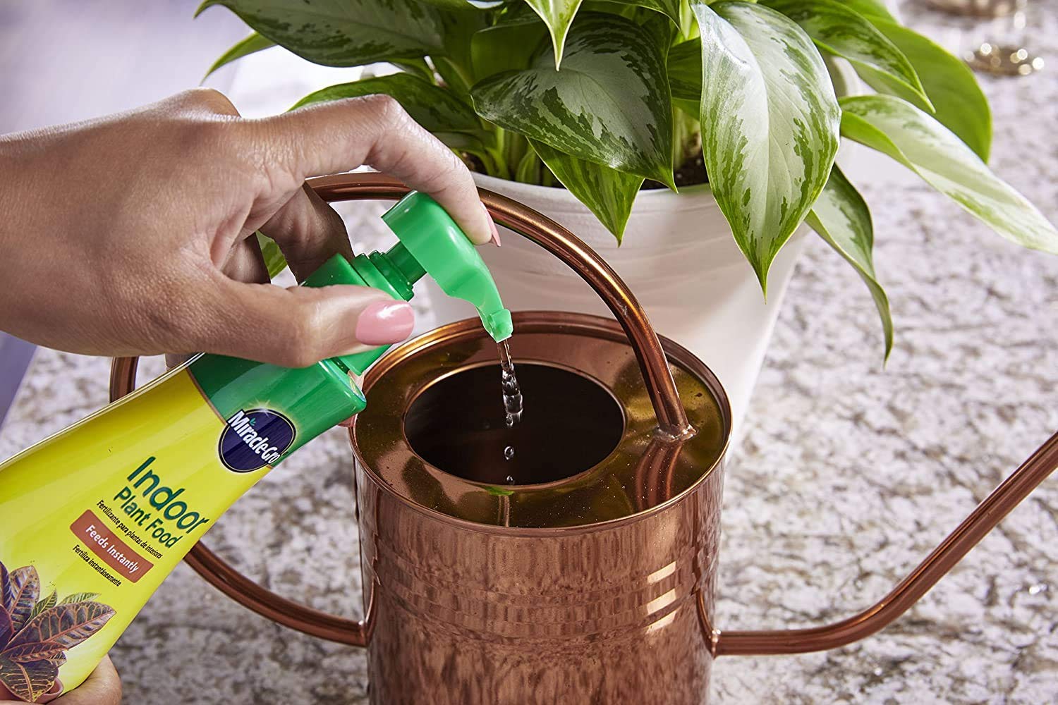Miracle-Gro Indoor Plant Food application steps guide feeding