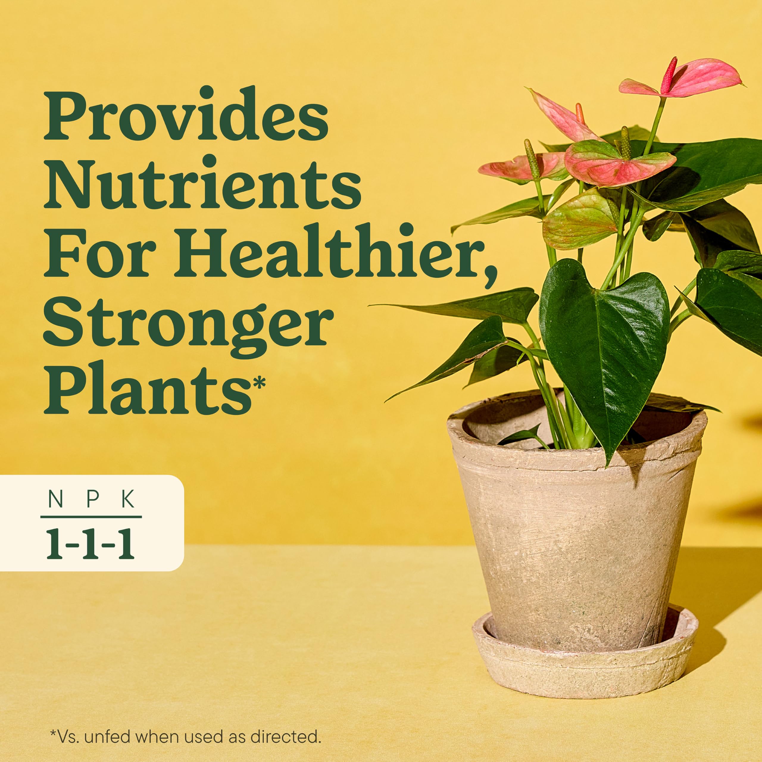 Miracle-Gro Indoor Plant Food application to soil around roots for stronger growth.