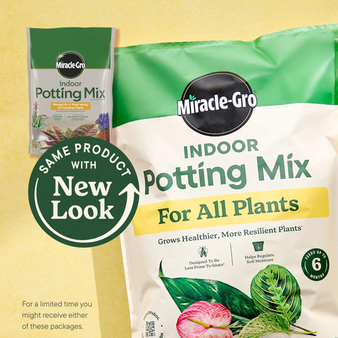 Miracle-Gro Indoor Plant Food bottle provides quick nourishment for houseplants