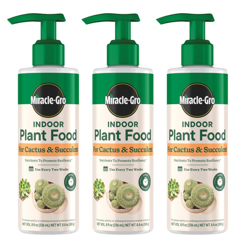 Miracle-Gro Indoor Plant Food bottle pour for cactus and succulent feeding