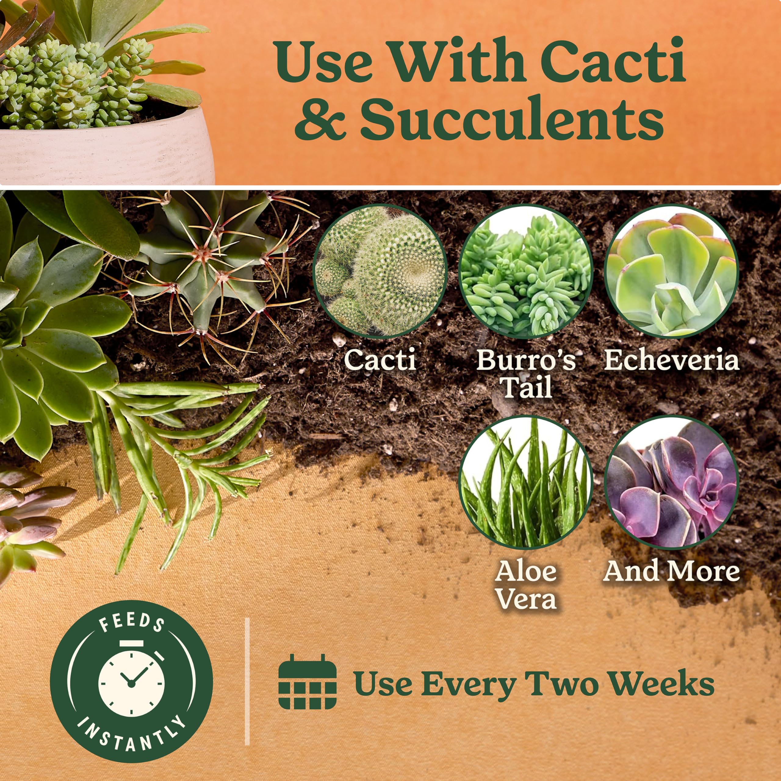 Direct soil application of Miracle-Gro cactus food supports growth