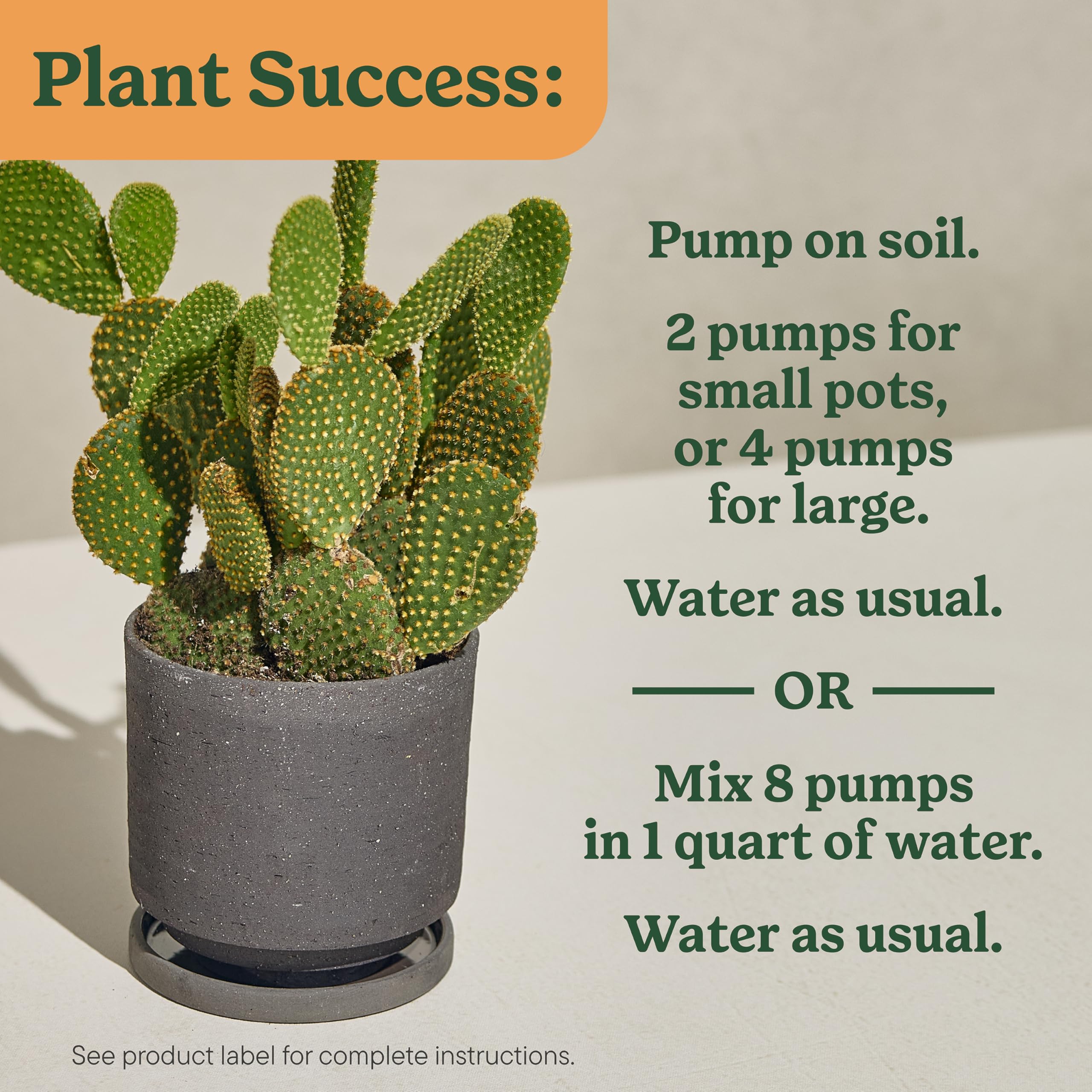 Miracle-Gro Indoor Plant Food label visible for cactus and succulent care.