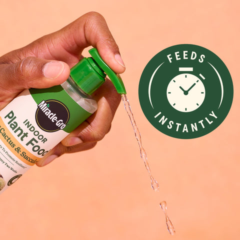 Food mixed with water for easy irrigation and feeding