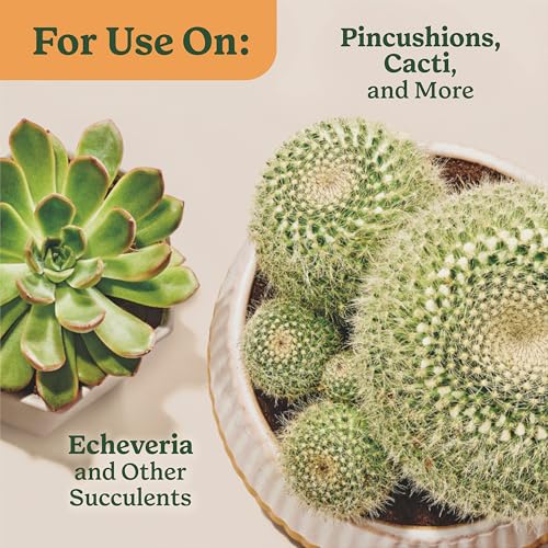 Prickly pear cactus benefits from routine indoor nutrition
