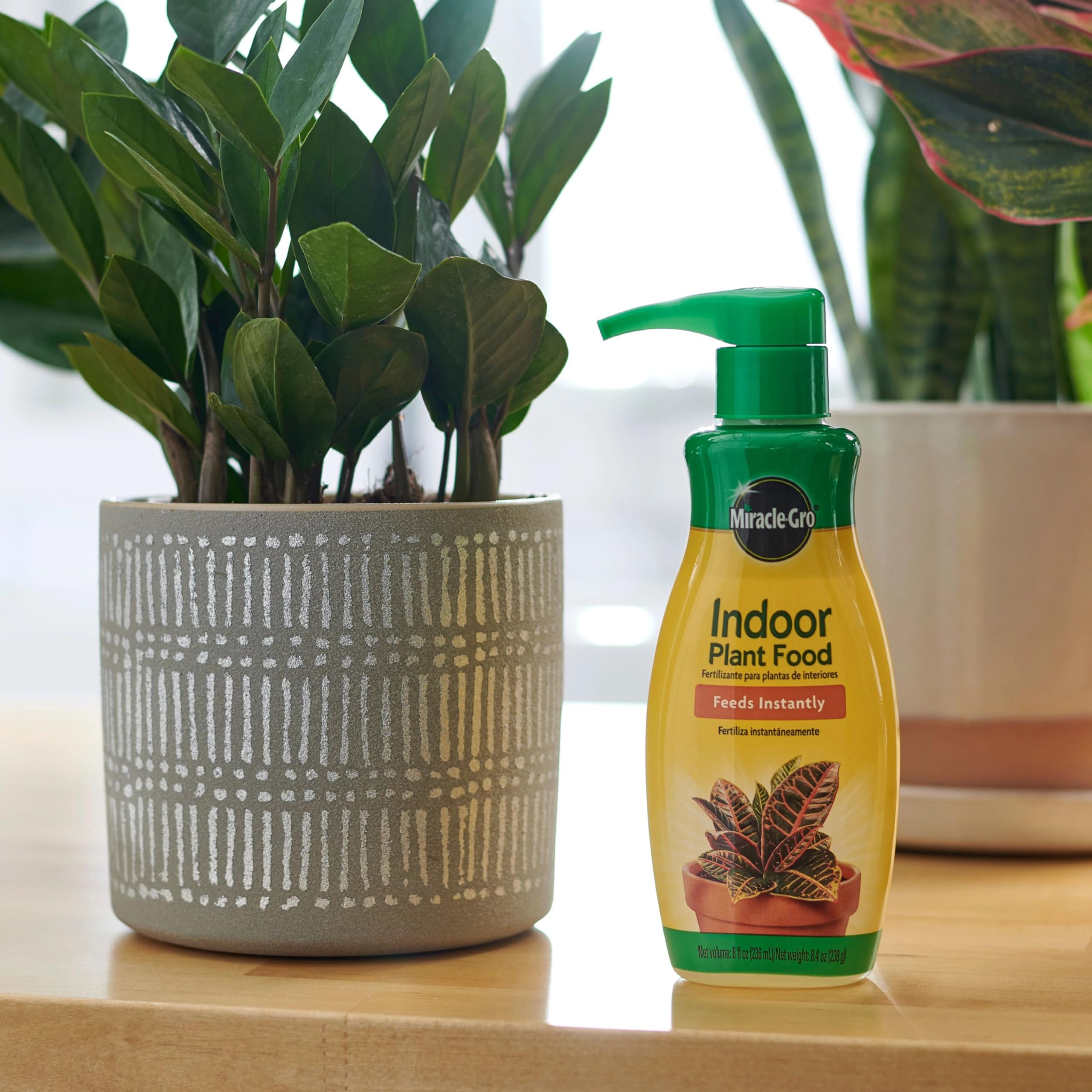 Miracle-Gro pump dispense demonstrating fast feeding for indoor container plants