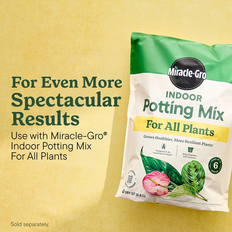 Miracle-Gro Indoor Plant Food helps herbs stay vibrant for daily cooking.