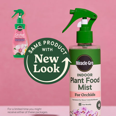 Misting orchid leaves with Miracle-Gro mist for healthy growth