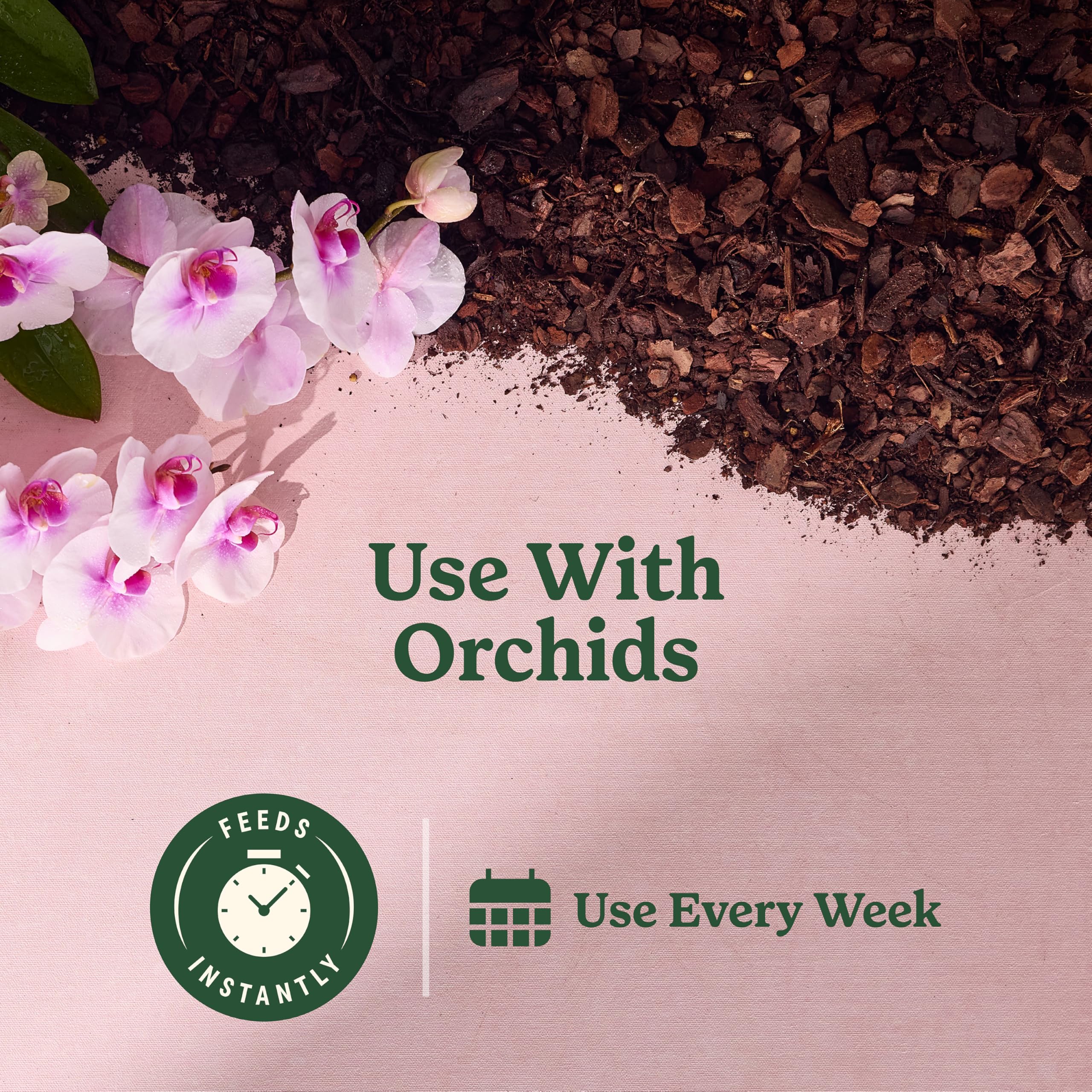 Spraying orchid roots with Miracle-Gro for nourishment