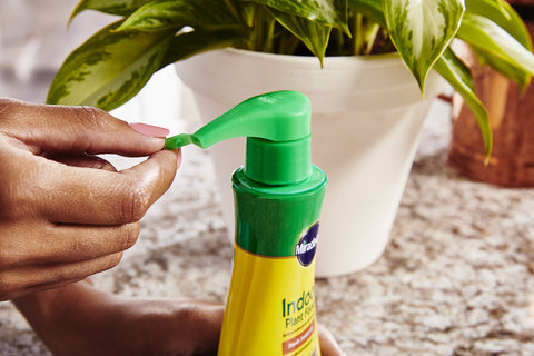 Miracle-Gro Indoor Plant Food mixed with water for versatile use.