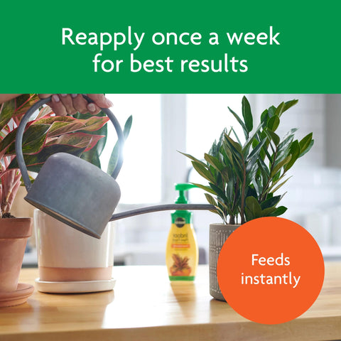 Miracle-Gro packaging and bottles illustrating versatile indoor use
