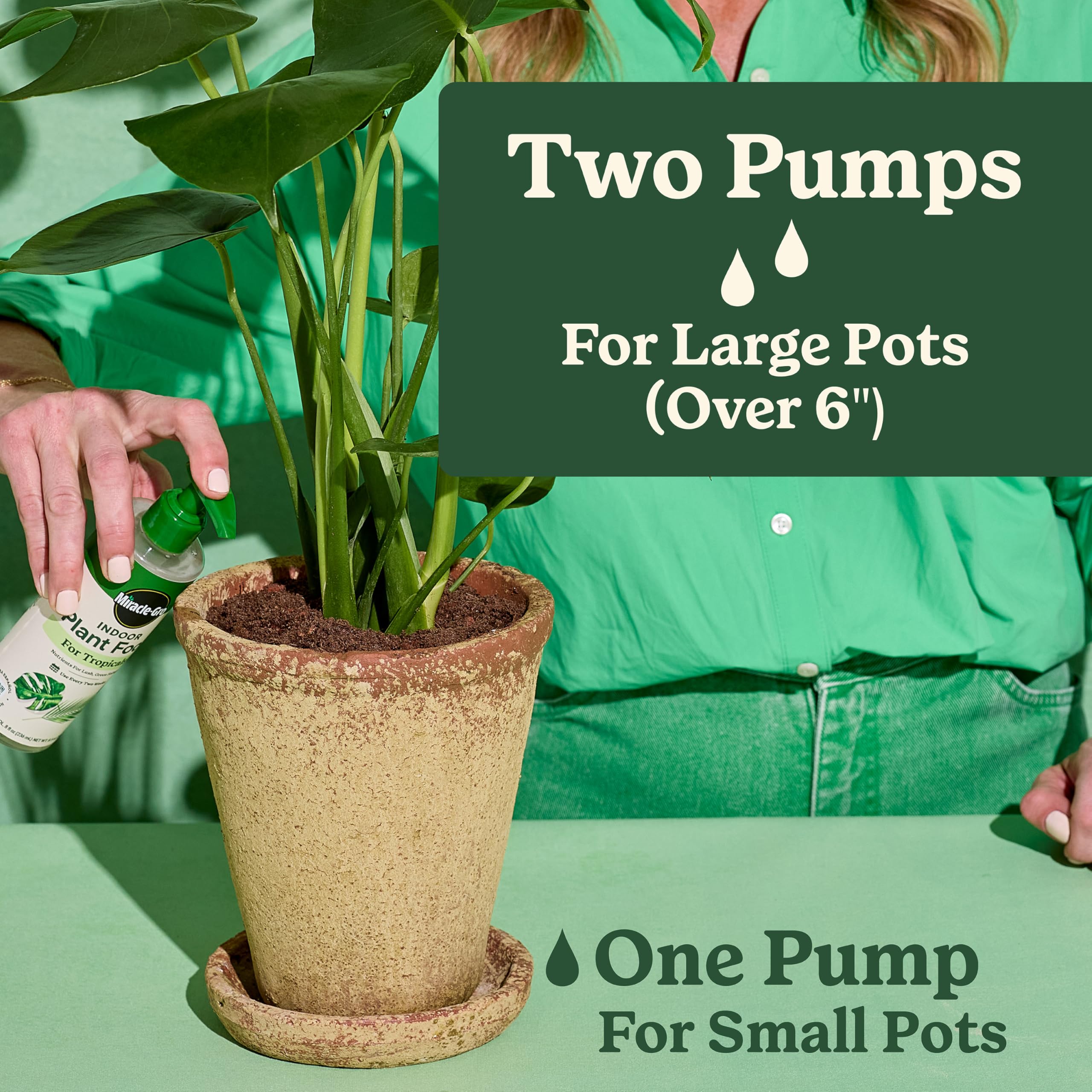 Miracle-Gro Indoor Plant Food Tropicals two-bottle bundle ready for tropical care.