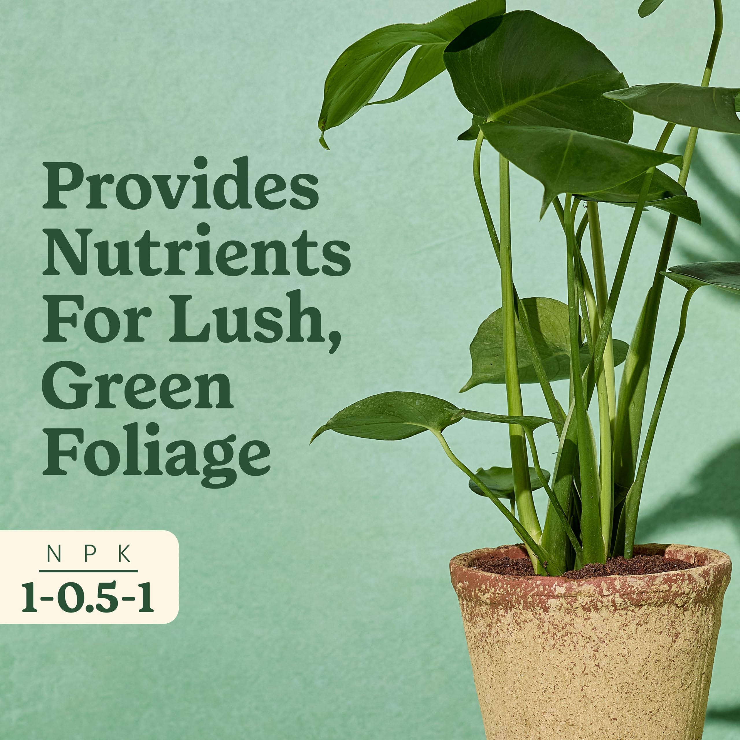 Miracle-Gro Indoor Plant Food Tropicals mixing in water setup simplifies feeding during watering.