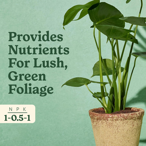 Miracle-Gro Indoor Plant Food Tropicals mixing in water setup simplifies feeding during watering.