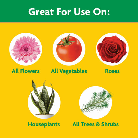 Indoor plants receiving Miracle-Gro feed in a home setting.