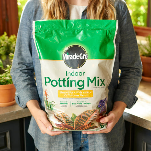 Miracle-Gro Indoor Potting Mix should dry to the touch between waterings.