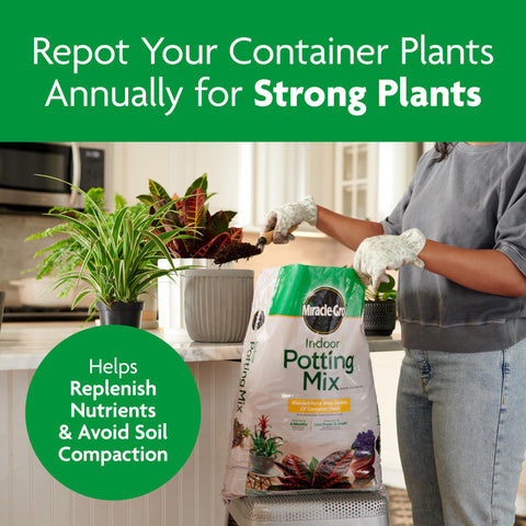 Miracle-Gro Indoor Potting Mix nourishes flowering houseplants over months.