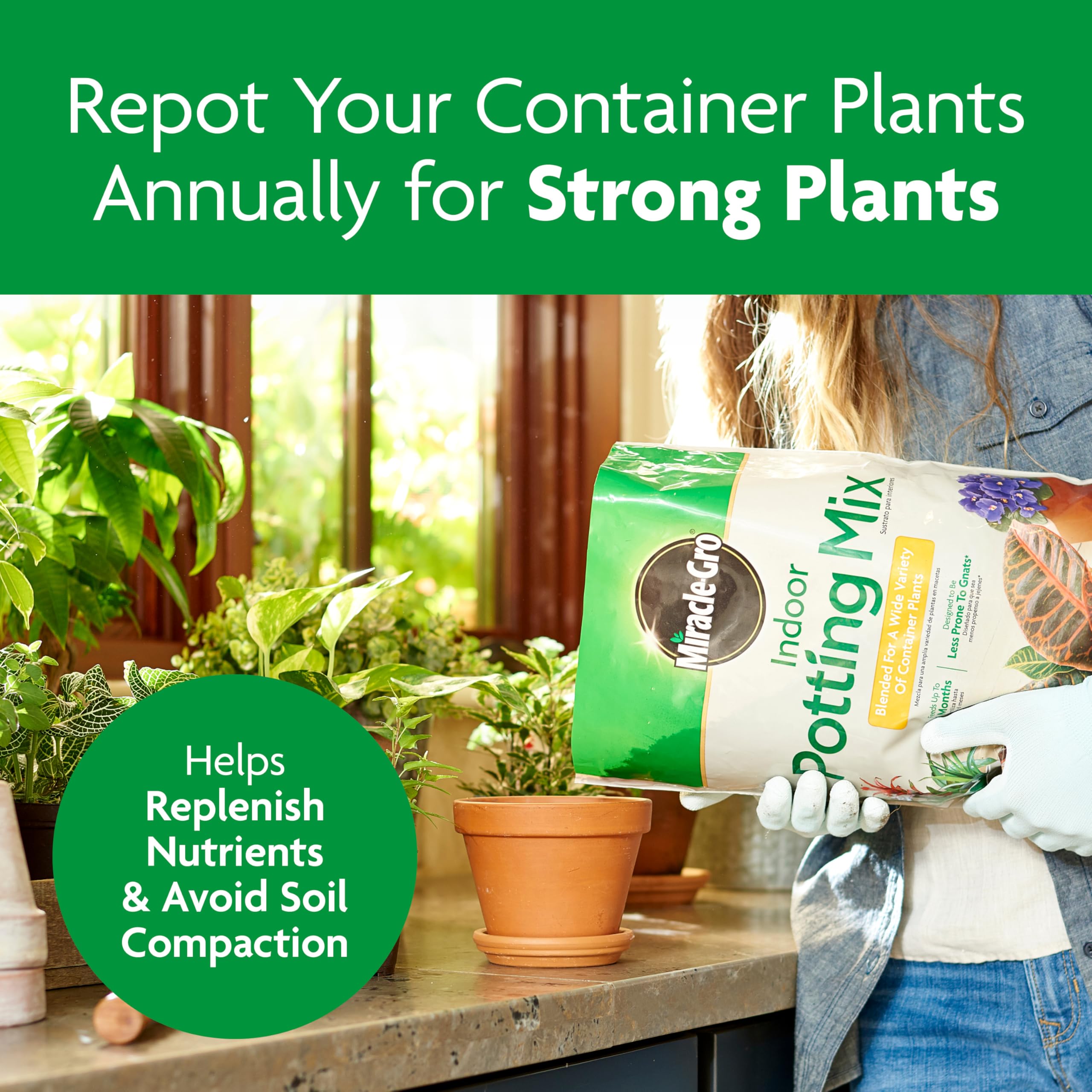 Miracle-Gro Indoor Potting Mix helps flowering plant bloom longer.
