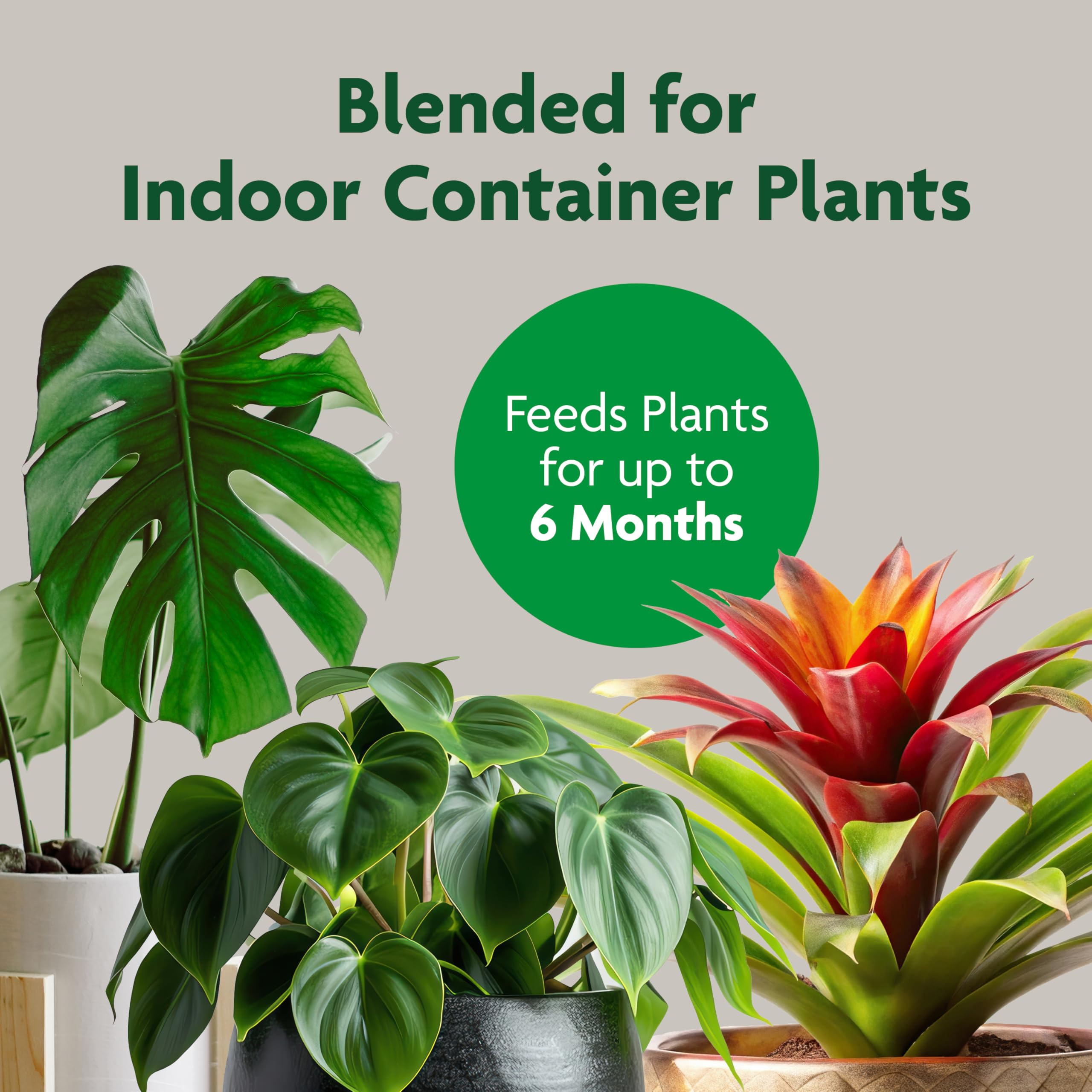 Miracle-Gro Indoor Potting Mix fuels lush monstera growth in pot.