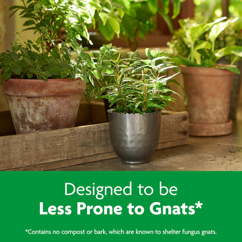 Miracle-Gro Indoor Potting Mix sustains peperomia with vibrant leaves.