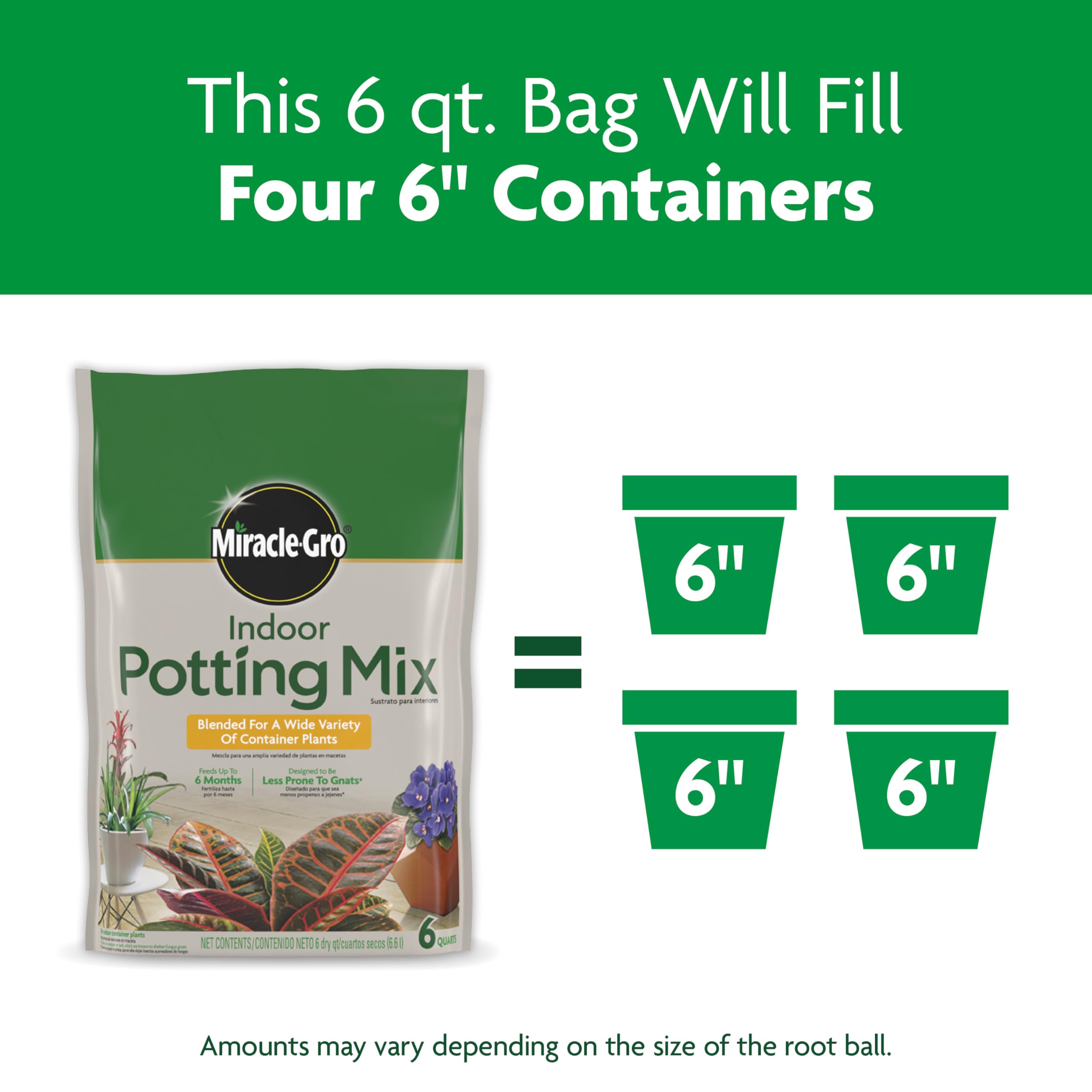 Miracle-Gro Indoor Potting Mix aids philodendron in healthy root development.