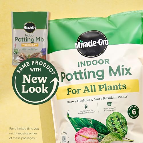 Miracle-Gro Indoor Potting Mix supports healthy snake plant growth in pot.