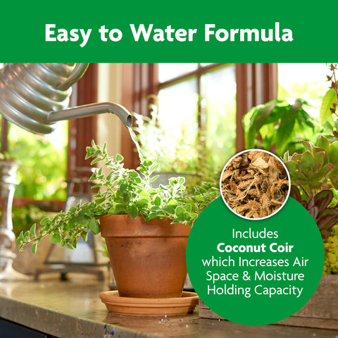 Miracle-Gro Indoor Potting Mix supports tropical plant in pot.