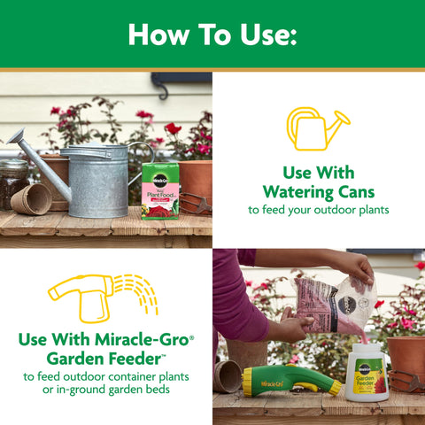 Miracle-Gro indoor rose care with feeding product