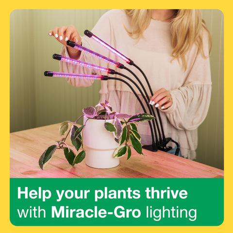 Miracle-Gro clip fits desks up to 2.5 inches thick.