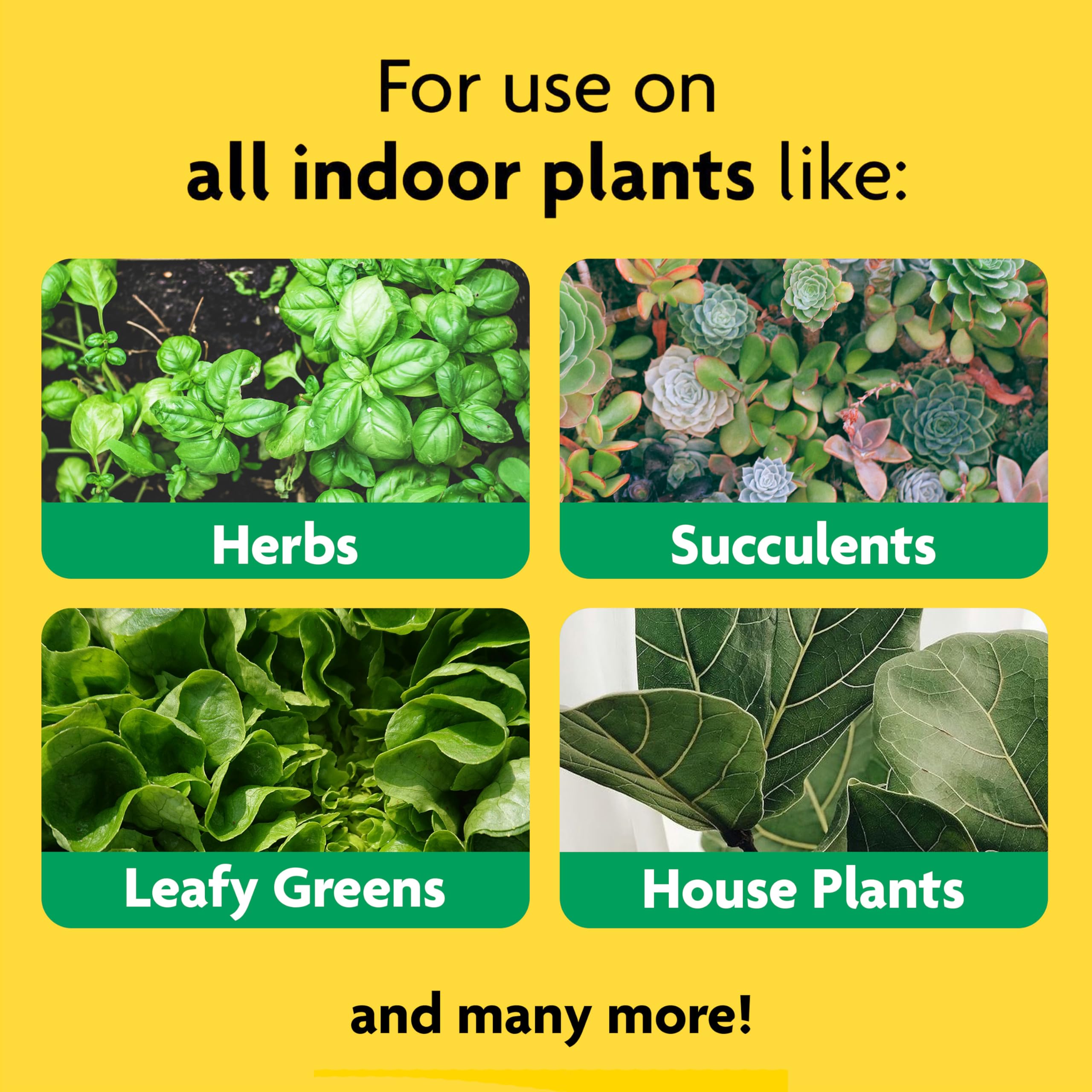 Miracle-Gro light helps revive houseplants and herbs.