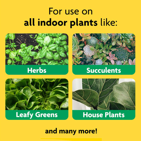Miracle-Gro light helps revive houseplants and herbs.