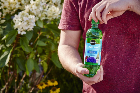 LiquaFeed supports acid-loving plants in-ground and in containers.