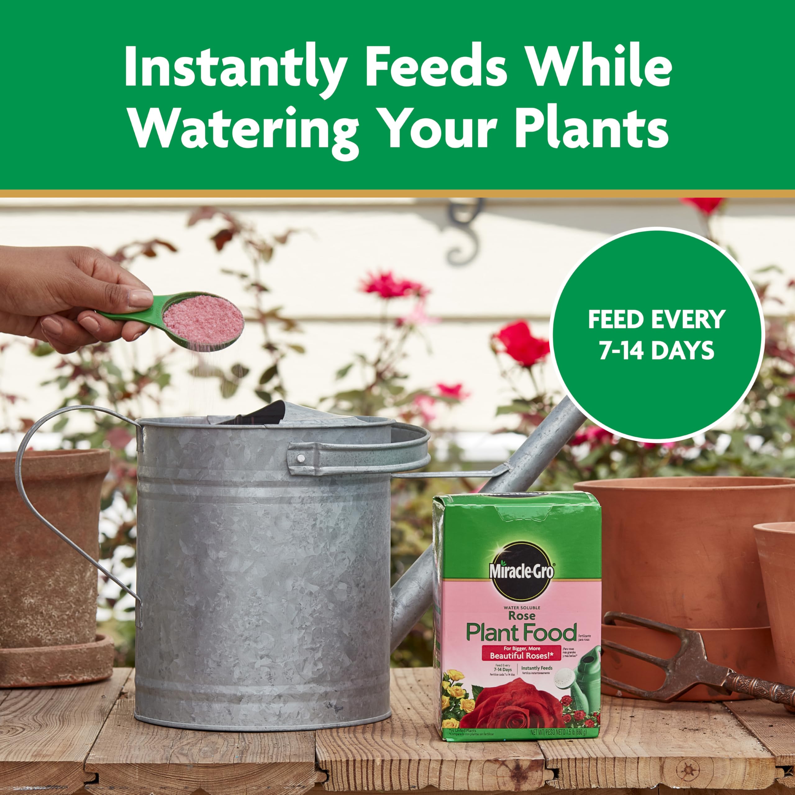 Miracle-Gro measuring spoon beside rose fertilizer