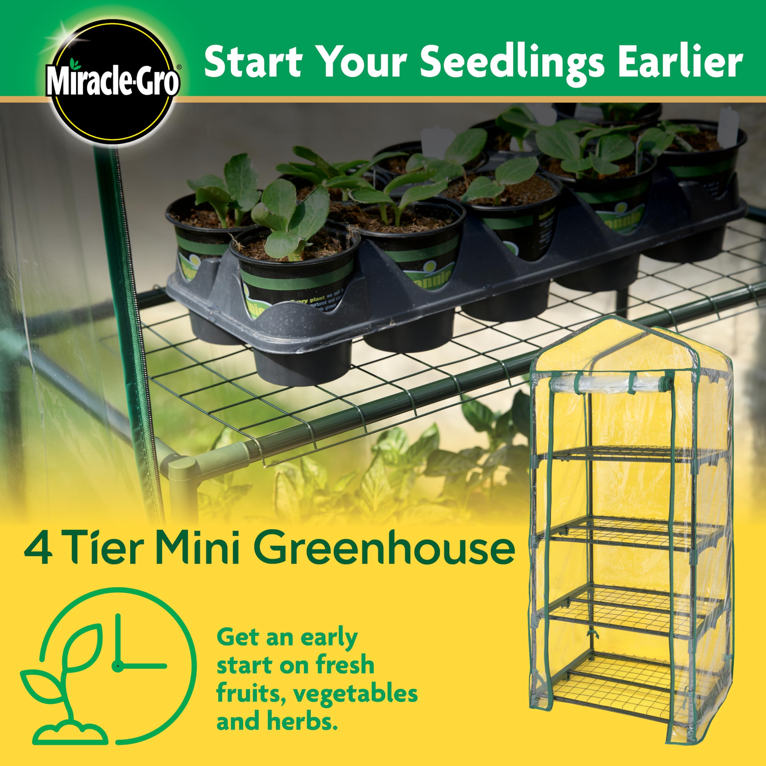 Miracle-Gro mini greenhouse setup for compact spaces and easy assembly.