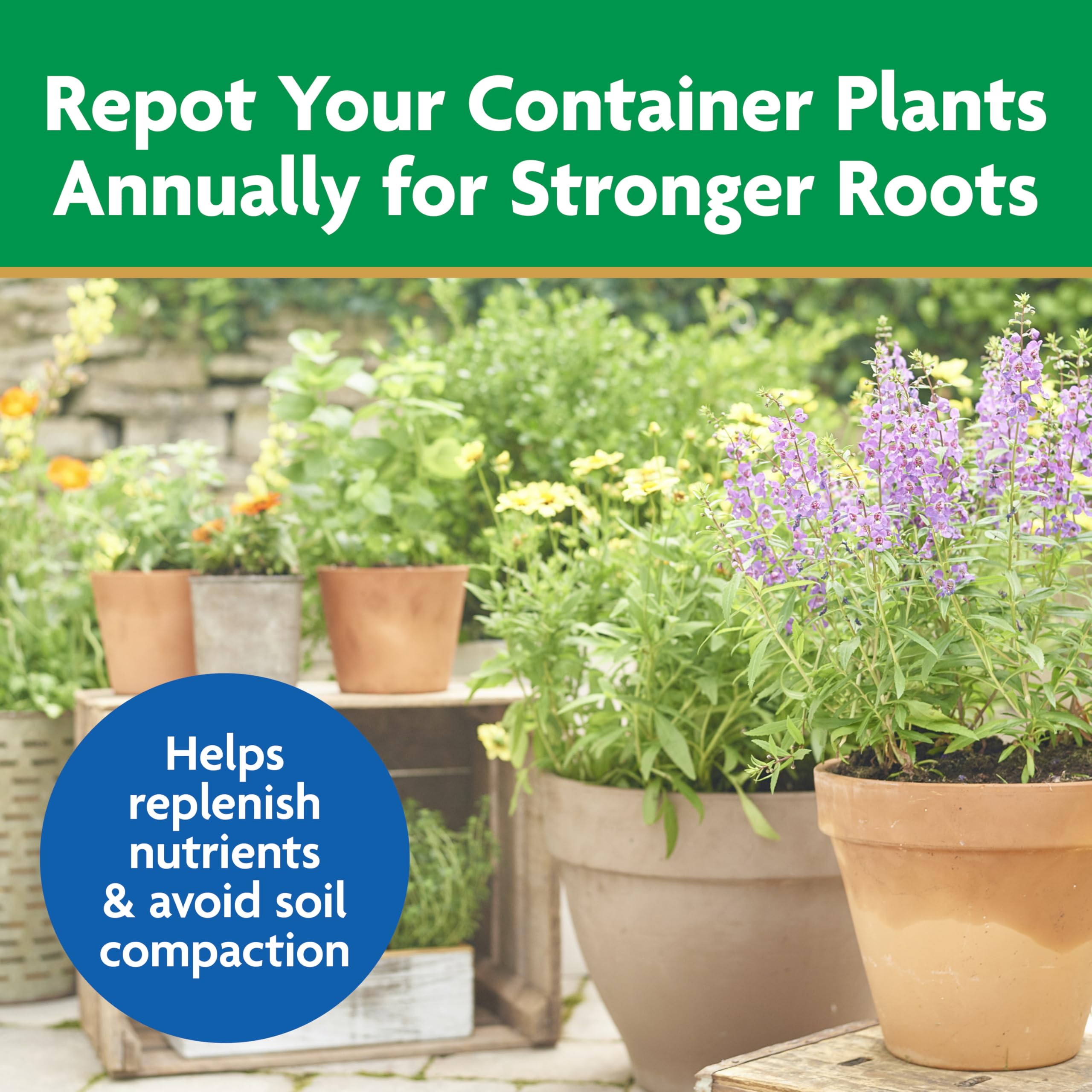 Miracle-Gro Moisture Control flowers in pots thriving with consistent moisture