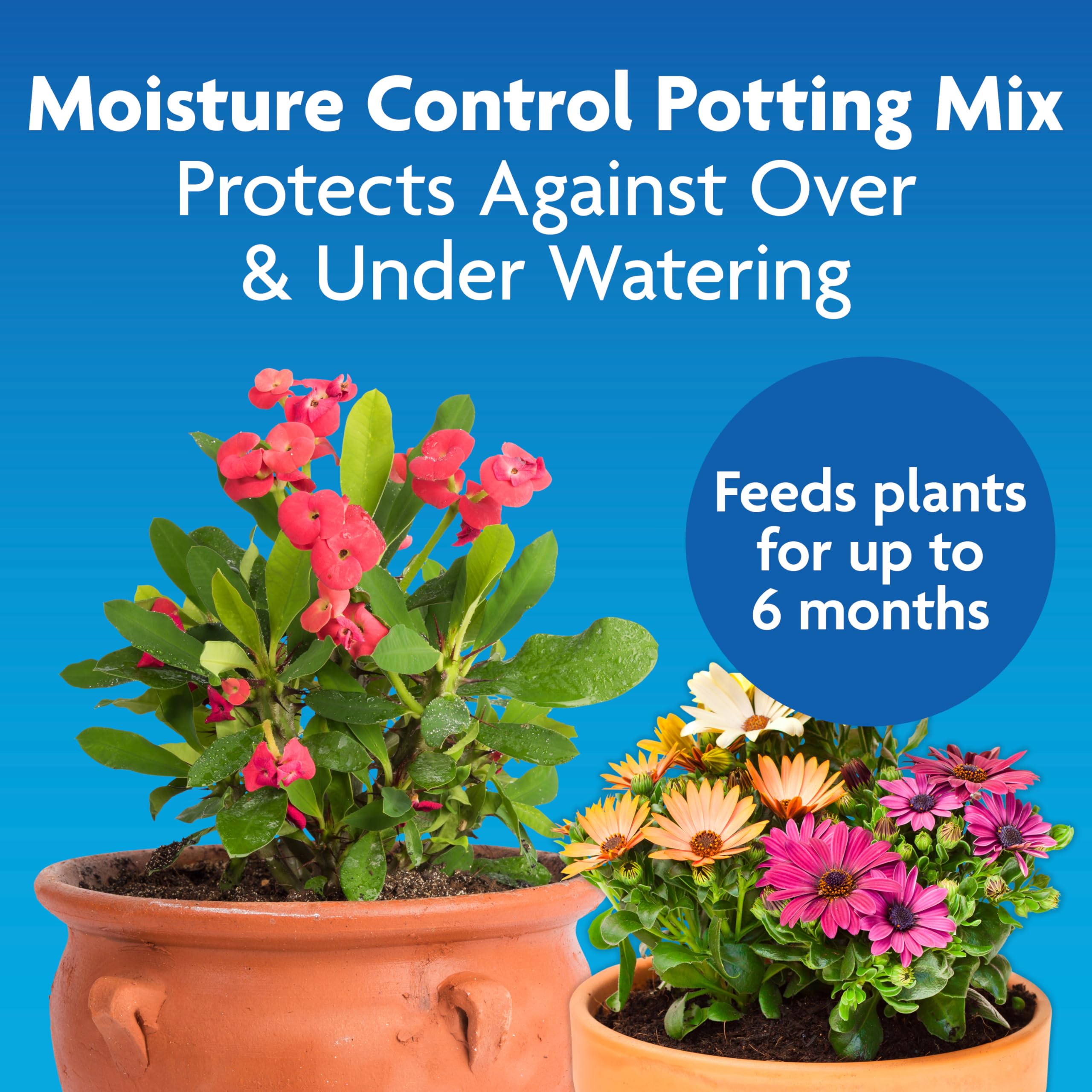 Two Miracle-Gro Moisture Control 8qt bags for thriving balcony pots.