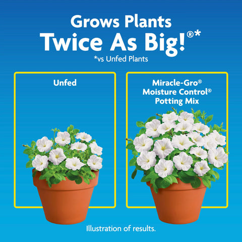 Watering test with Miracle-Gro mix showing even moisture distribution.