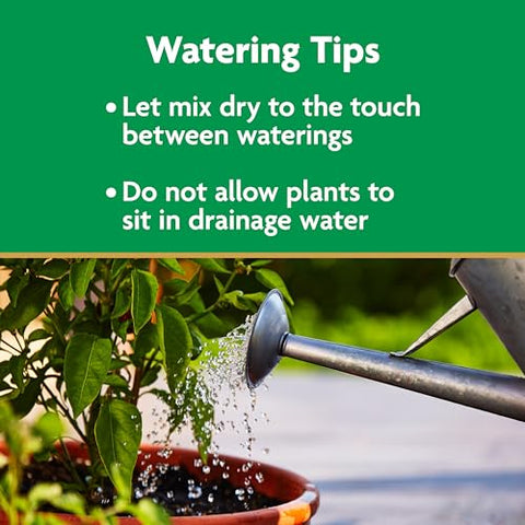 Miracle-Gro Moisture Control vegetables in pots with steady moisture