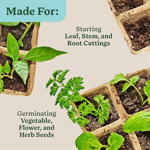 Miracle-Gro bundle shown for ongoing seed starting projects across plants.