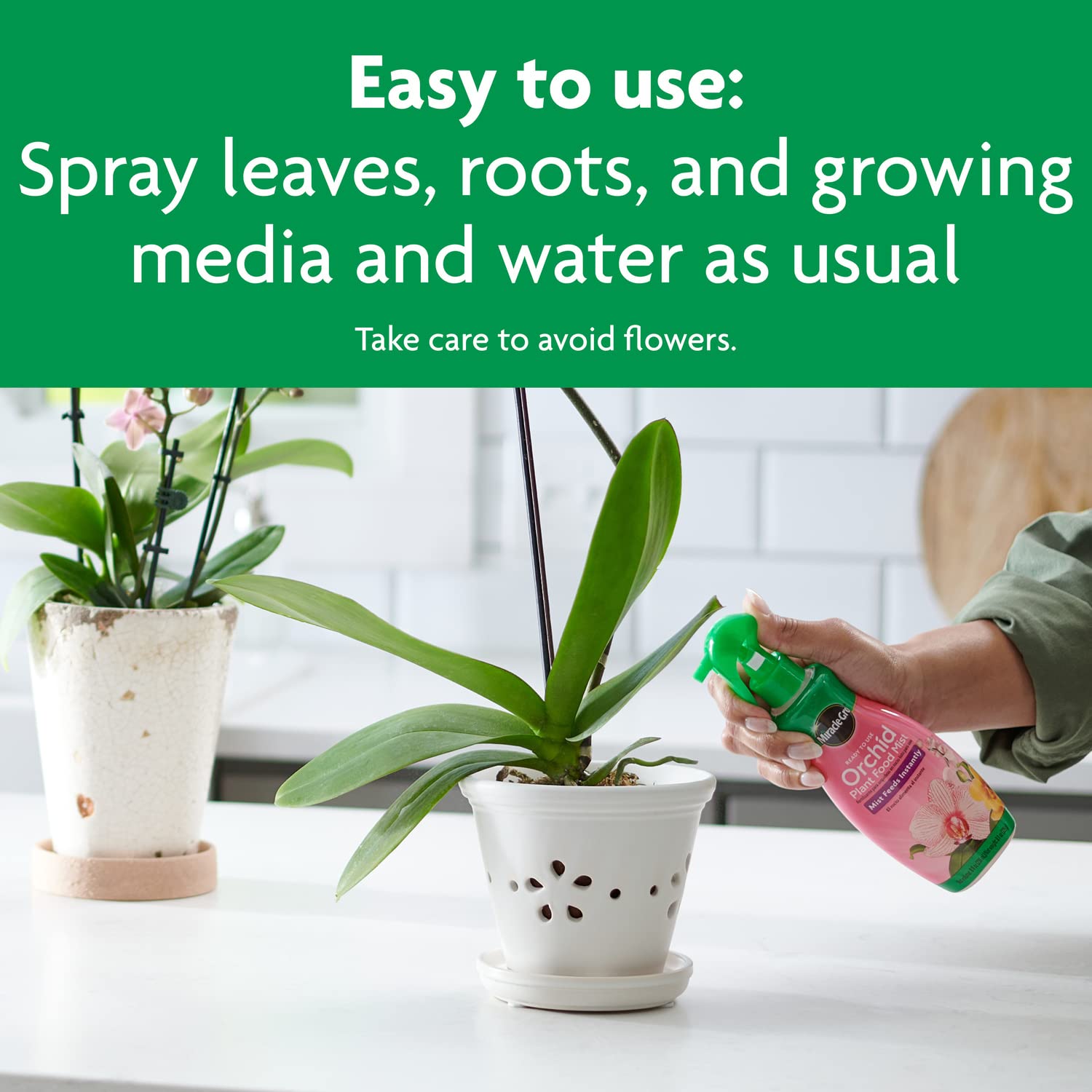 Miracle-Gro Orchid Food Mist on orchids—avoid spraying flowers for safer feeding.